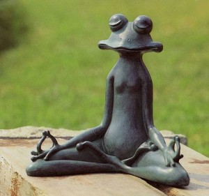 Frog meditations